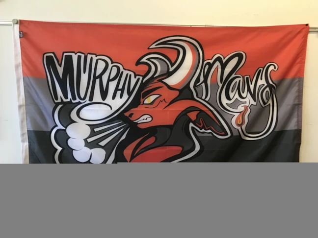 Custom School Flags