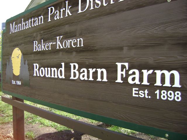 Beautiful Wood Grain Sandblasted Sign