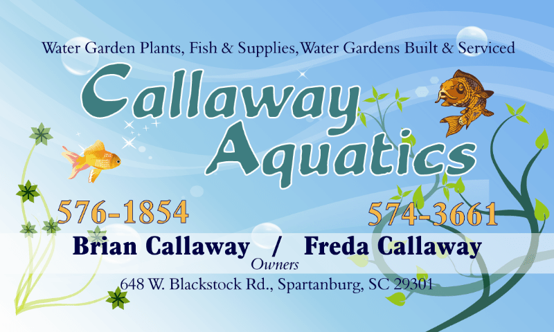 Callaway Aquatics