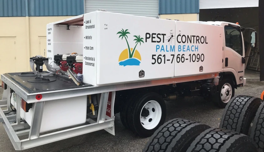 Vehicle Lettering