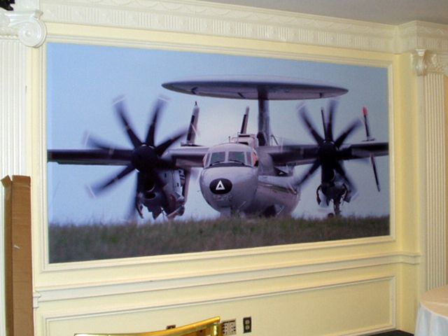 Removeable Wall Graphic