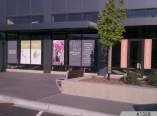 Removable Window Graphics