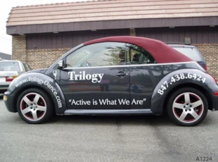 Vehicle Lettering, Volkswagen Beetle