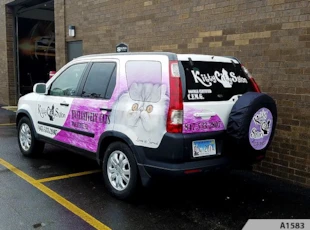 Cars & SUV's | Non-Profit | Kitty City Salon, Palatine, IL