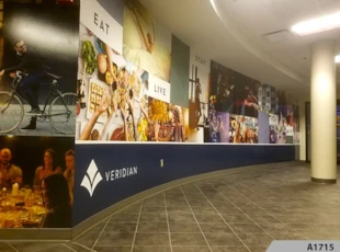Wall Graphics & Murals | Hospitality & Lodging | Schaumburg, IL - A1715