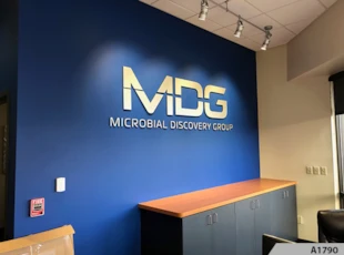 3D Letters for Lobby Wall, popular Office Signage