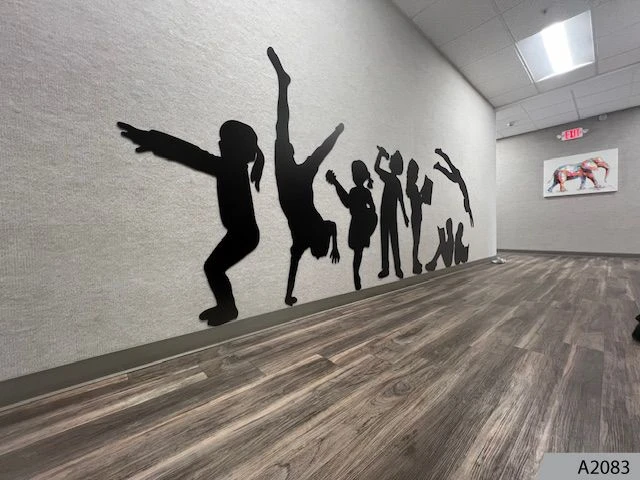 Wall Graphics & Murals