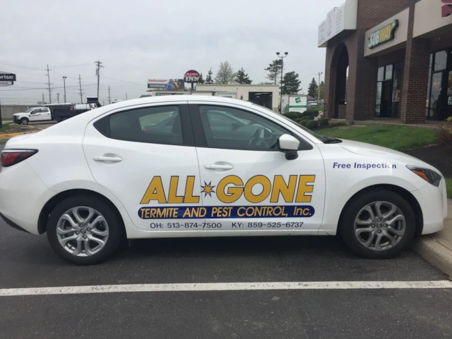 Two colors, vinyl lettering on vehicle