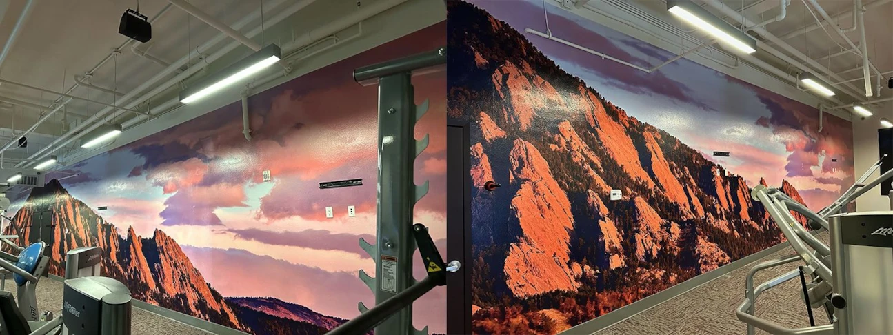 Wall Graphics & Murals