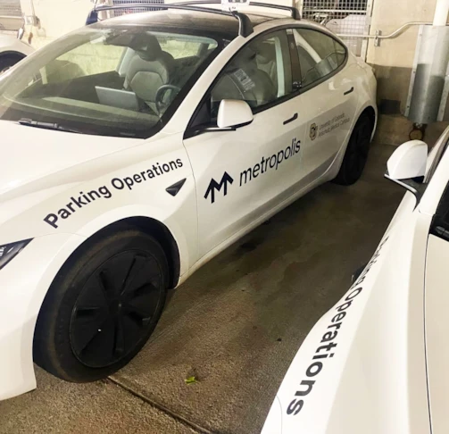 Vehicle Lettering