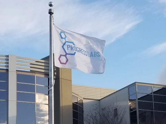 Custom Logo Flag