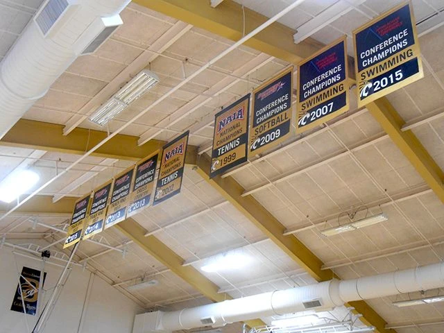 Indoor Banners